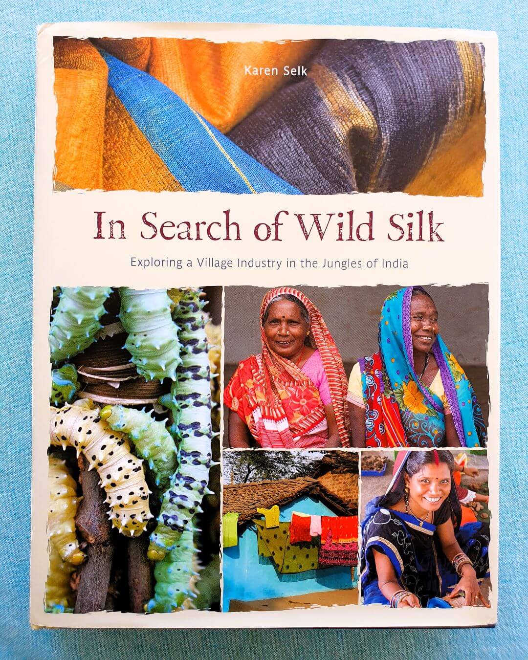 In Search of Wild Silk book cover